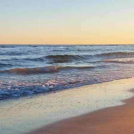 Holiday home Cozy In With Sauna *